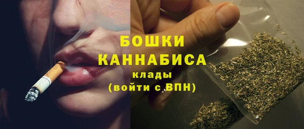хмурый Лагань