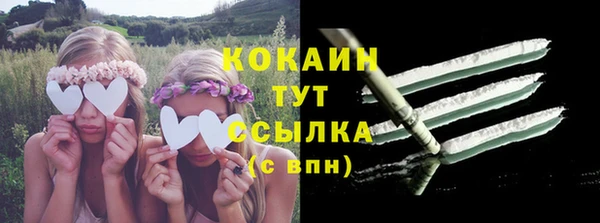 не бодяженный Ладушкин