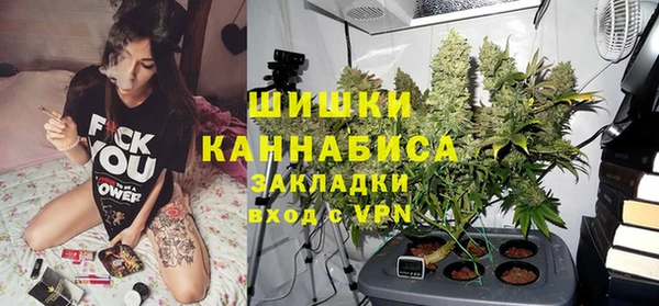 не бодяженный Ладушкин