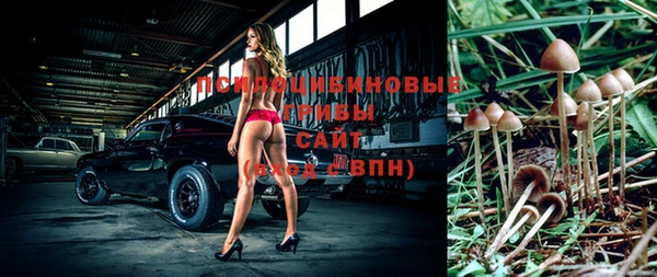 хмурый Лагань