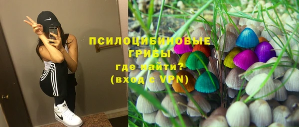 марки lsd Лабытнанги