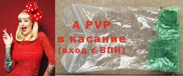 хмурый Лагань